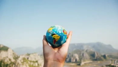 Navigating the Globe Safely: A Guide to International Health Insurance Plans